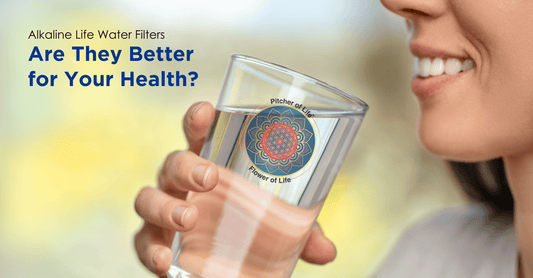 alkaline water filter