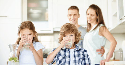 Perfect Water Purification System for Your Home?