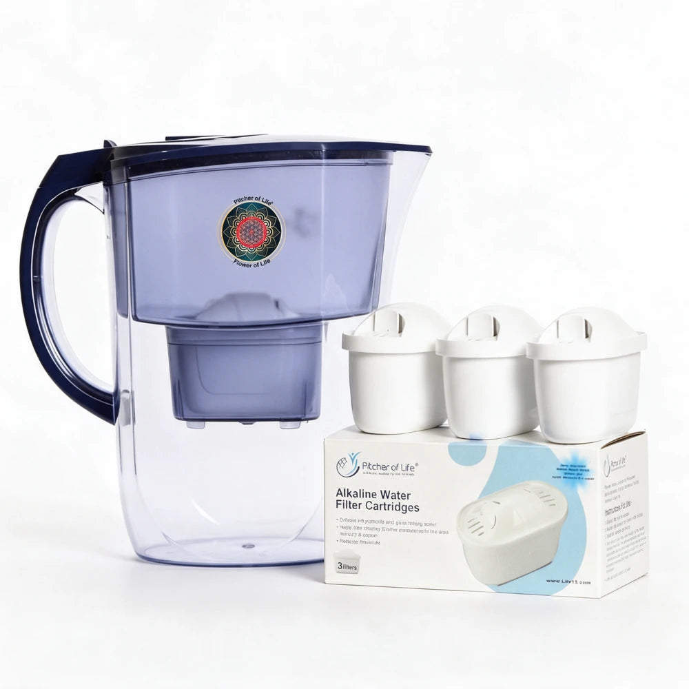 BPA Free with 3 pacl replacment FIlter Bundle for the healthy family