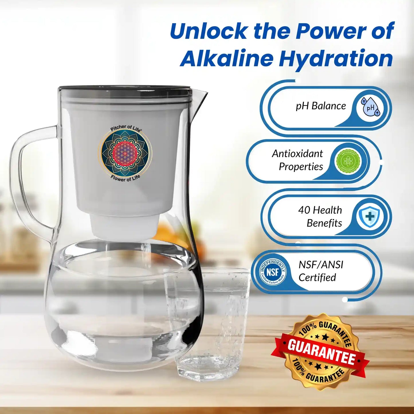 Borosilicate Glass Pitcher of Life Alkaline Water Purifier water store