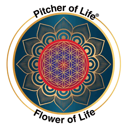pitcher of life flower of life symbol