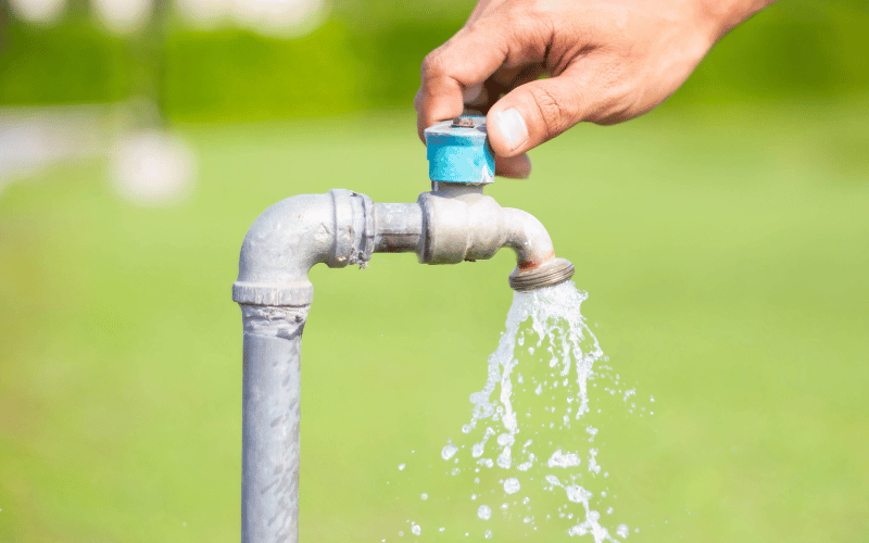 Unraveling the Threat of Trihalomethanes in Water