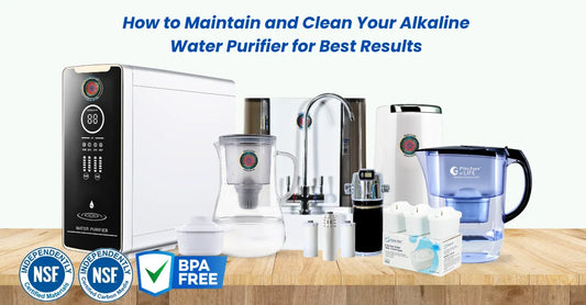 Maintain and Clean Your Alkaline Water Purifier for Best Results