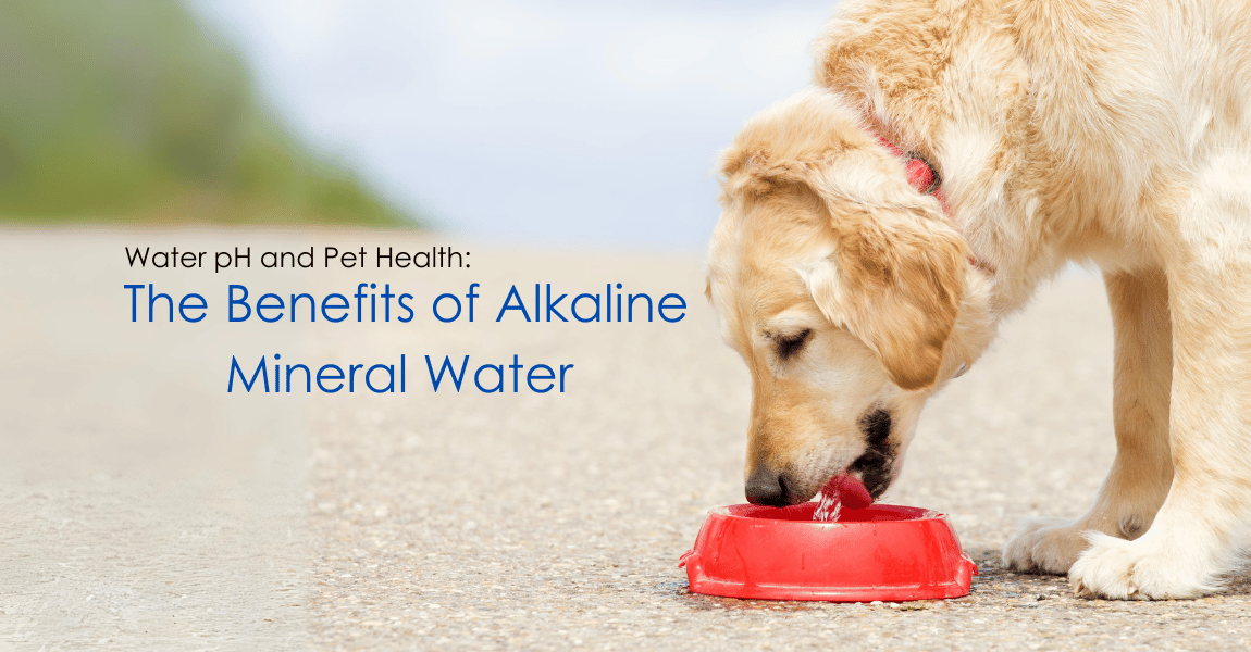 Water pH and Pet Health: The Benefits of Alkaline Mineral Water