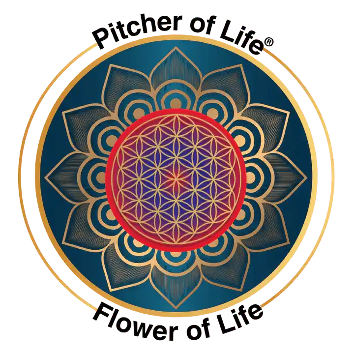 12 pack flower of life stickers