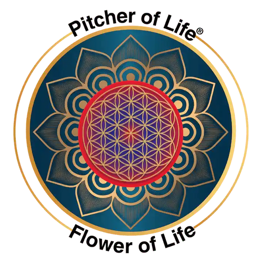 12 pack flower of life stickers