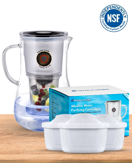 Alkaline Pitcher with Infuser bundle