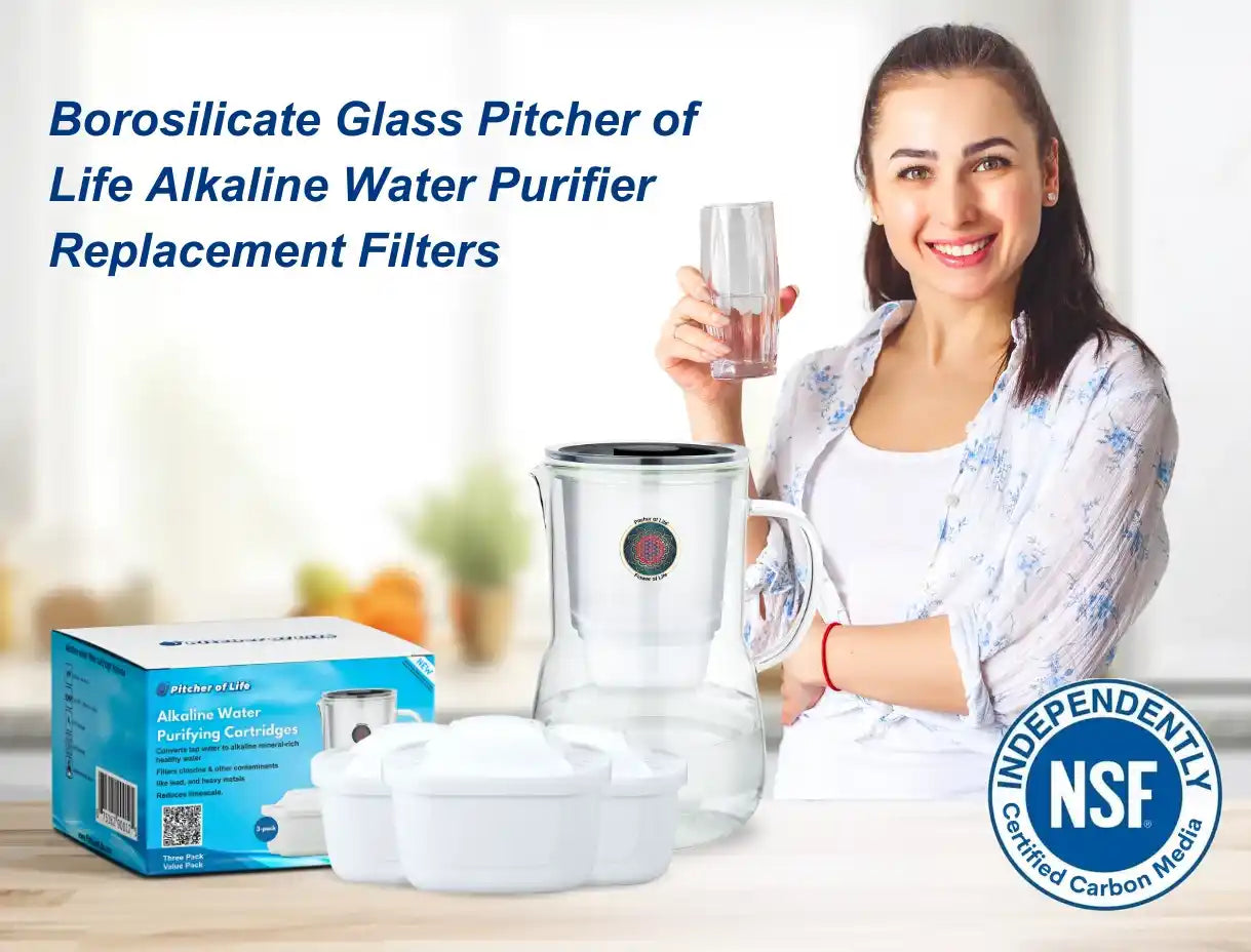GPOL Alkaline life water replacement filters