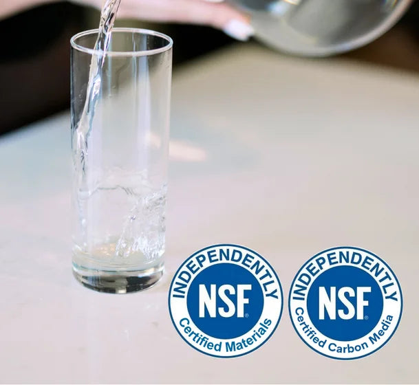 Pitcher of Life Alkaline Water
