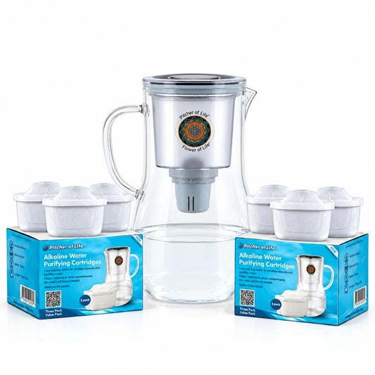 Borosilicate Glass Pitcher of life with 2 3pack replacment Filter a full family deal