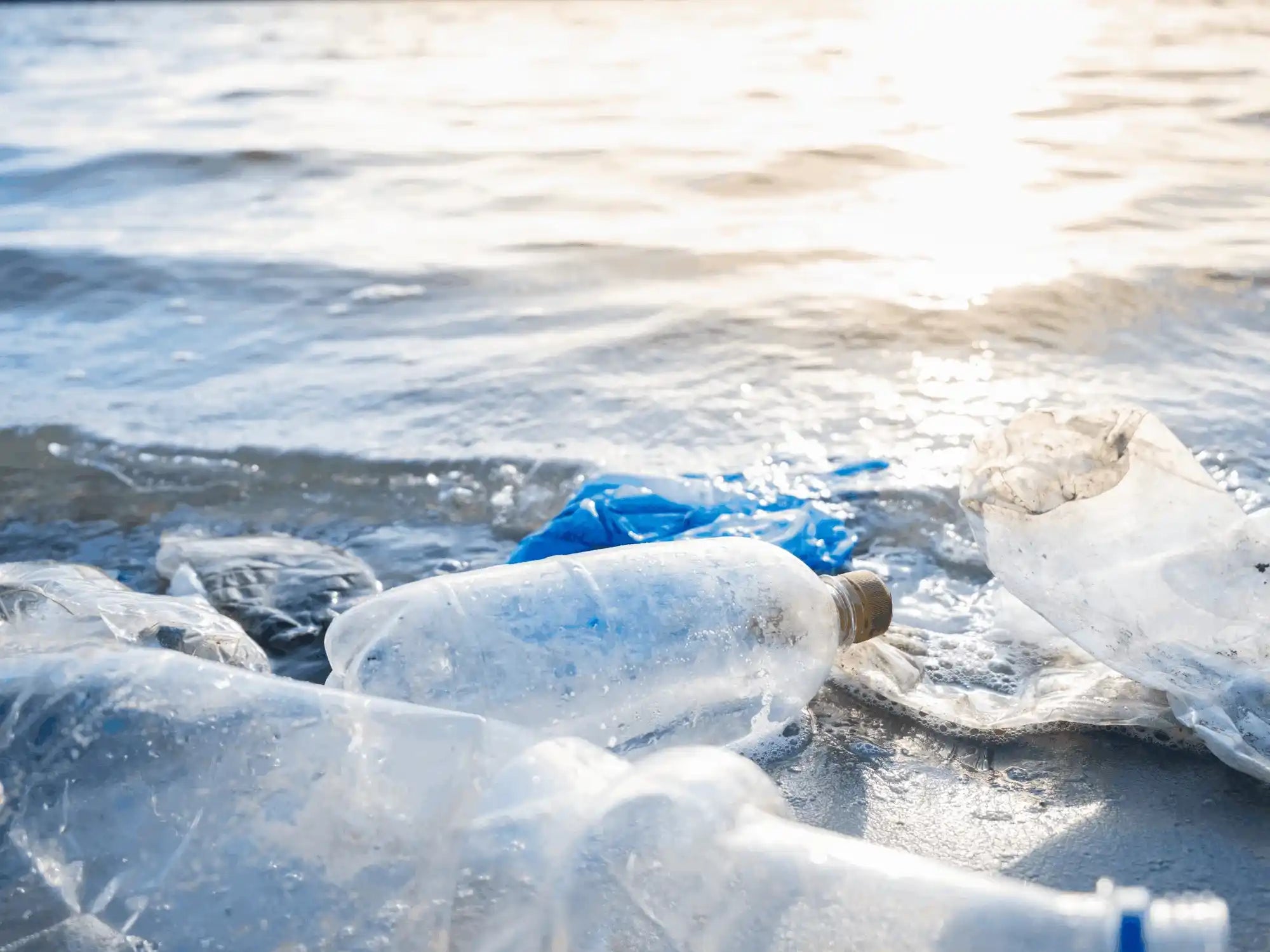 Microplastics Impact