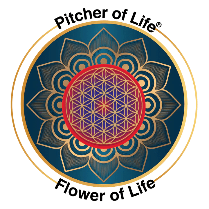 12 pack flower of life stickers