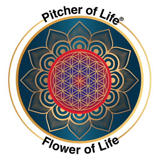 12 pack flower of life stickers