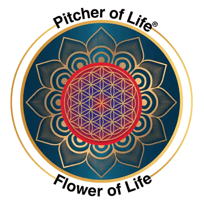 pitcher of life flower of life symbol 